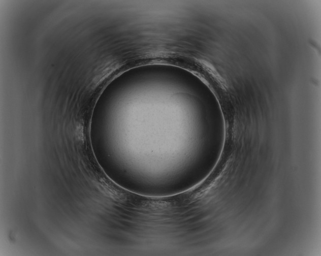 X0000091901209200709121452