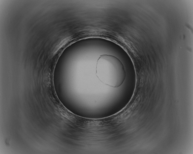 X0000091901211200709121452