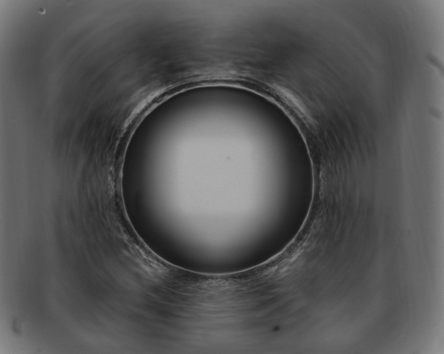 X0000091901212200709121452