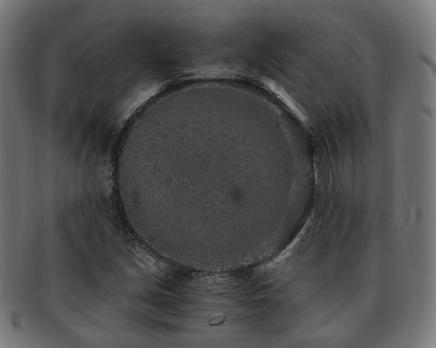 X0000091901213200709121452