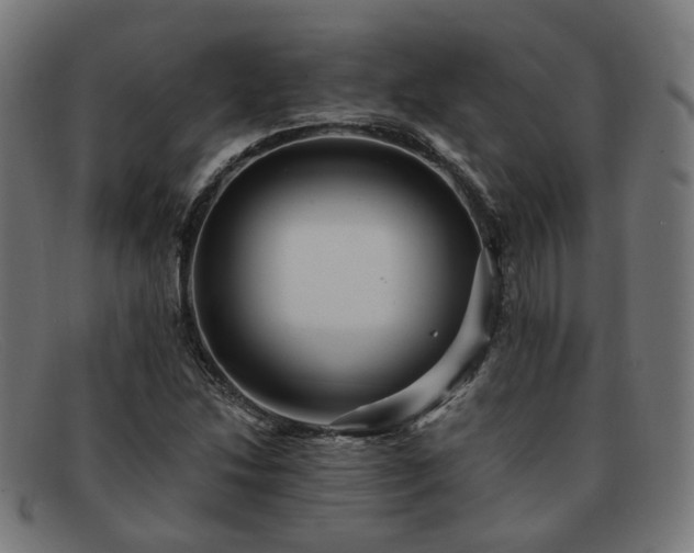 X0000091901214200709121452