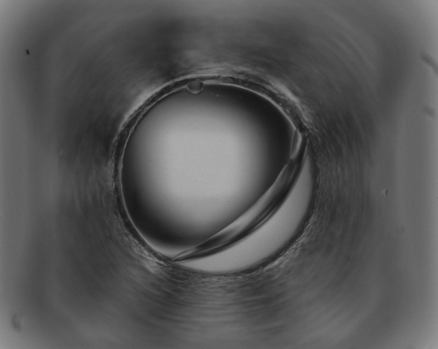 X0000091901216200709121452