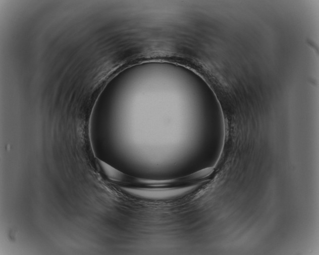 X0000091901217200709121453