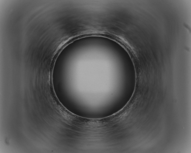 X0000091901220200709121453