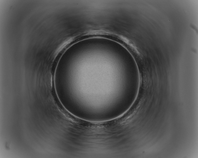 X0000091901221200709121453