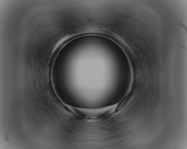 X0000091901222200709121453