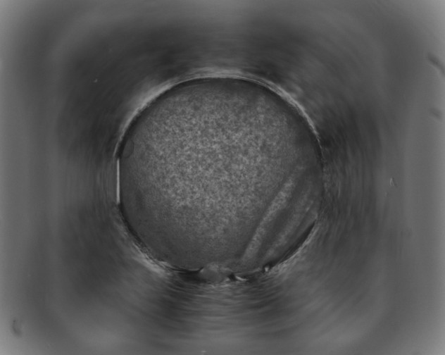 X0000091901223200709121453