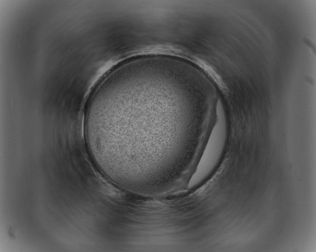 X0000091901224200709121453