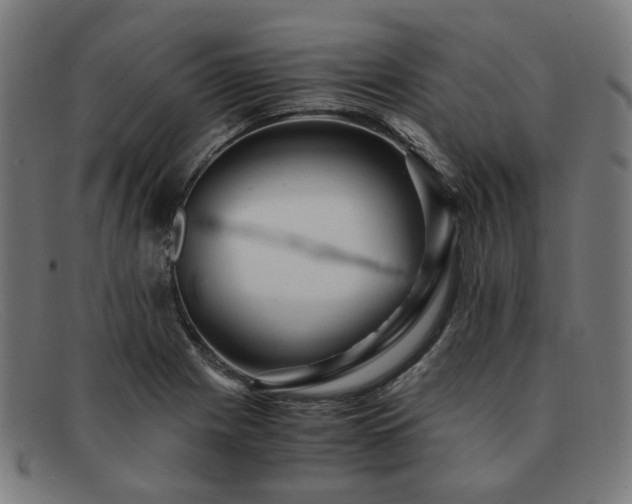 X0000091901225200709121453