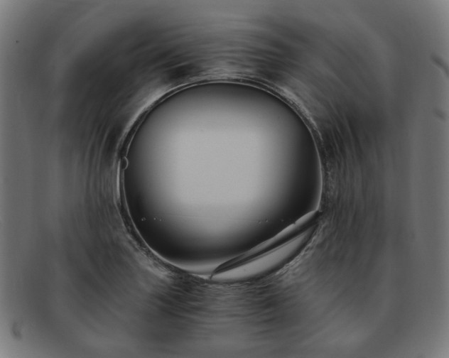 X0000091901227200709121453