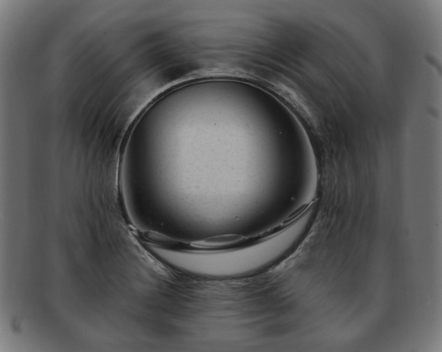 X0000091901228200709121453