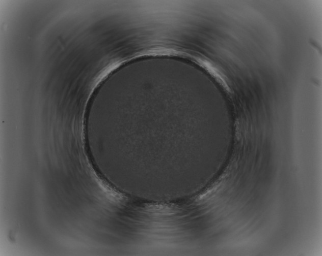 X0000091901229200709121453