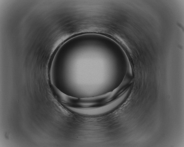 X0000091901230200709121453