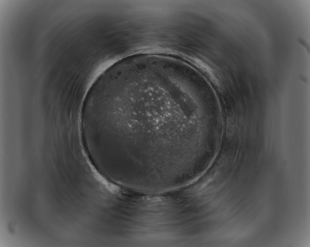 X0000091901231200709121453