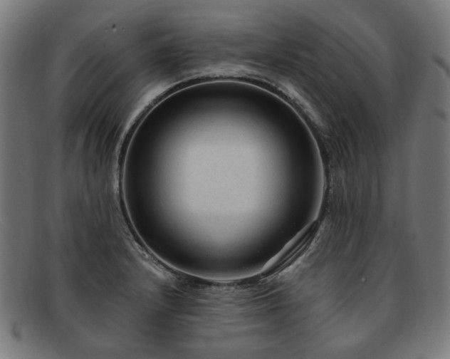 X0000091901232200709121453