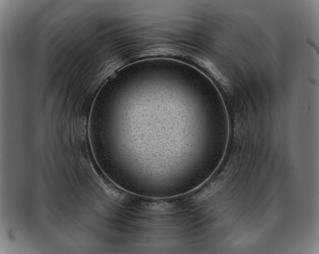 X0000091901233200709121453