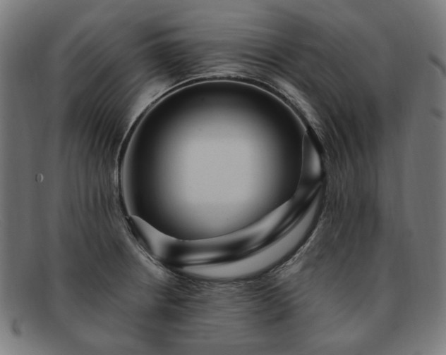 X0000091901234200709121453