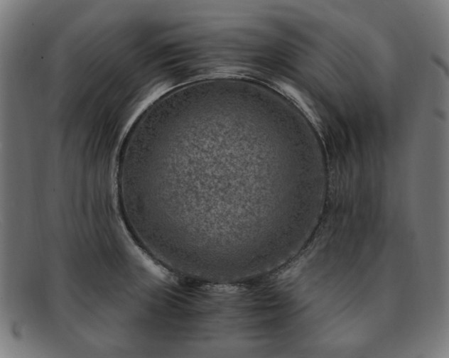 X0000091901235200709121453