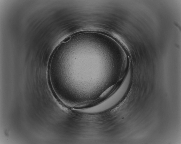 X0000091901237200709121453