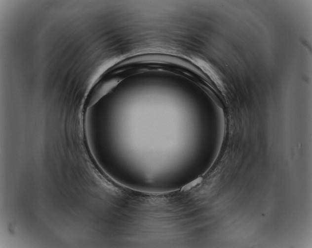 X0000091901238200709121453