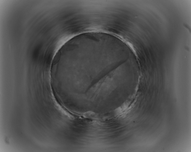 X0000091901239200709121453