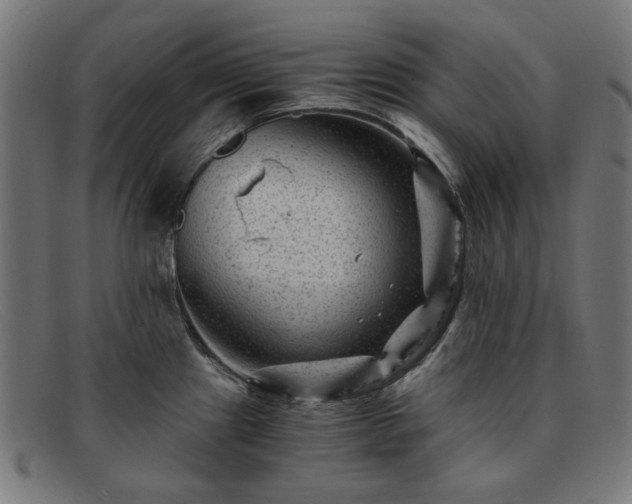 X0000091901241200709121453