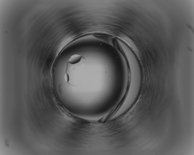 X0000091901242200709121453