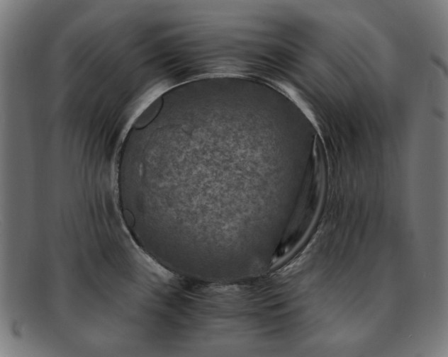 X0000091901243200709121453