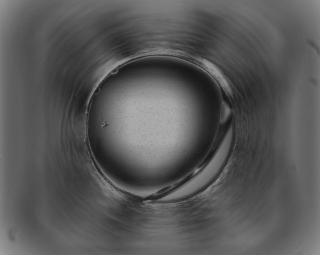 X0000091901244200709121453