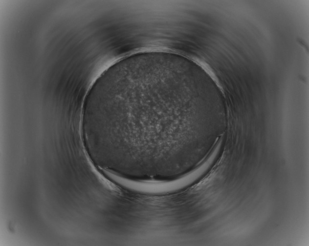 X0000091901245200709121453