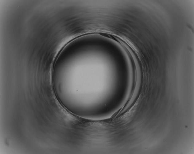 X0000091901246200709121453