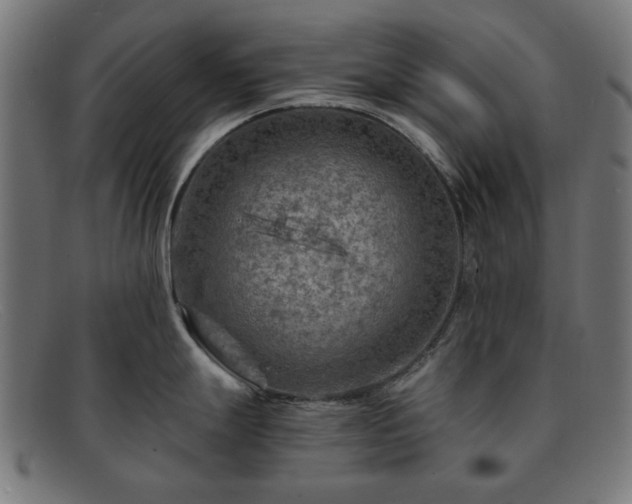 X0000091901247200709121453