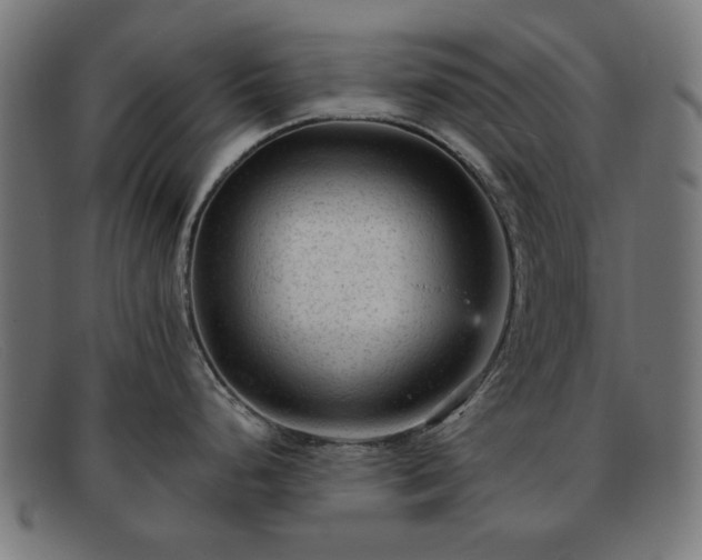 X0000091901248200709121453