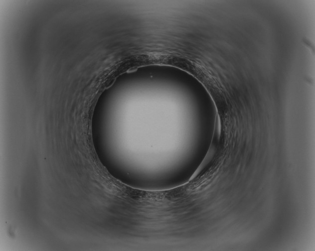 X0000091901249200709121452