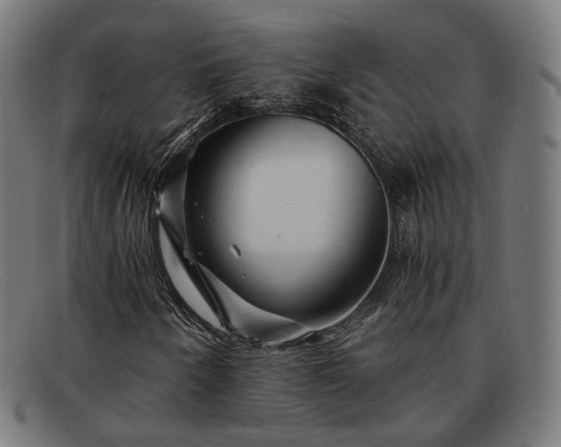 X0000091901250200709121452