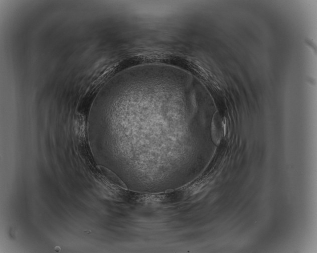 X0000091901251200709121452