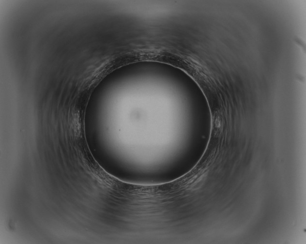 X0000091901252200709121452