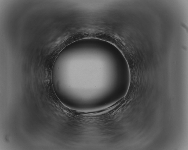 X0000091901253200709121452