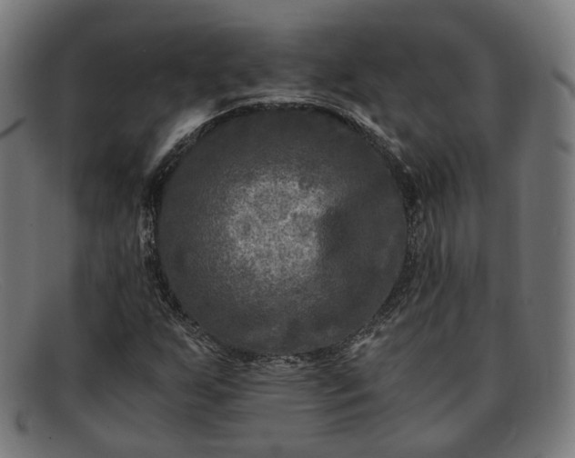 X0000091901255200709121452