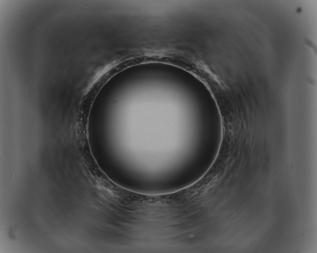 X0000091901256200709121452