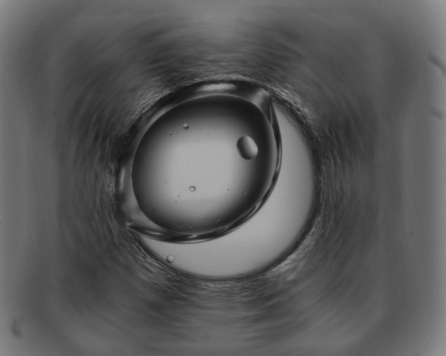 X0000091901257200709121452