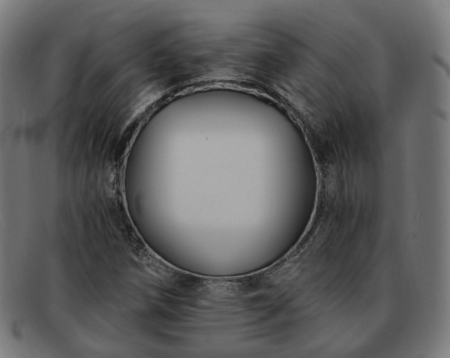 X0000091901258200709121452