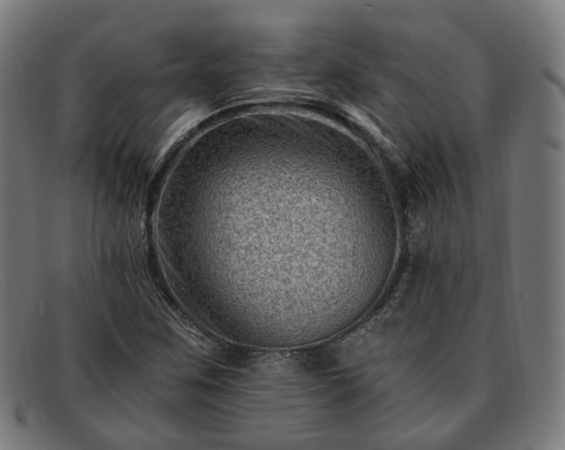 X0000091901259200709121452