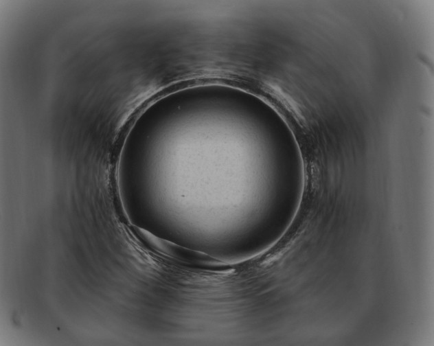 X0000091901260200709121452