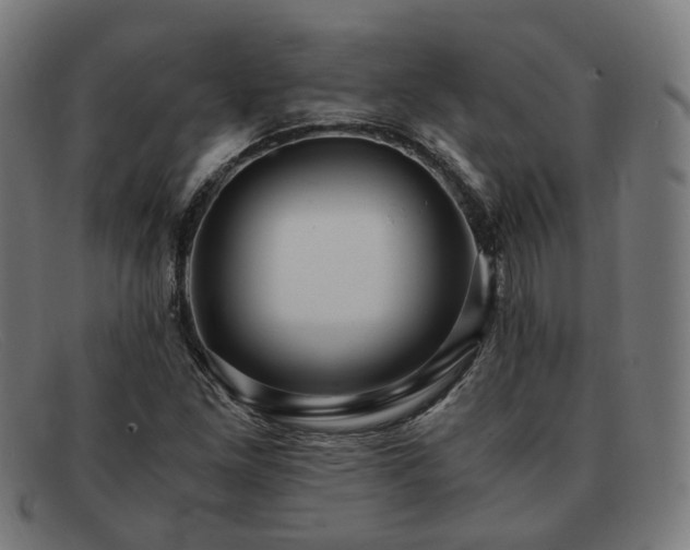 X0000091901261200709121452