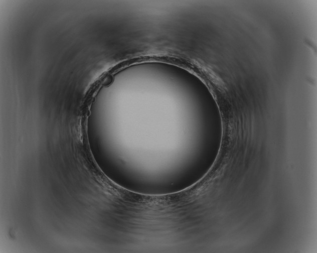 X0000091901262200709121452