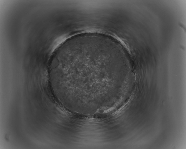 X0000091901263200709121452