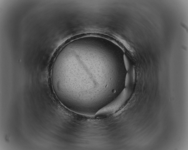 X0000091901264200709121452