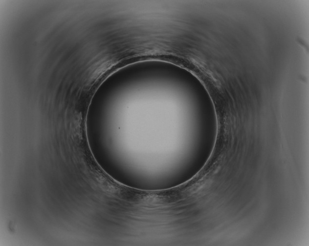 X0000091901265200709121452