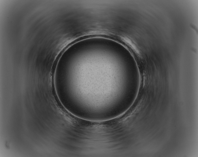 X0000091901268200709121452